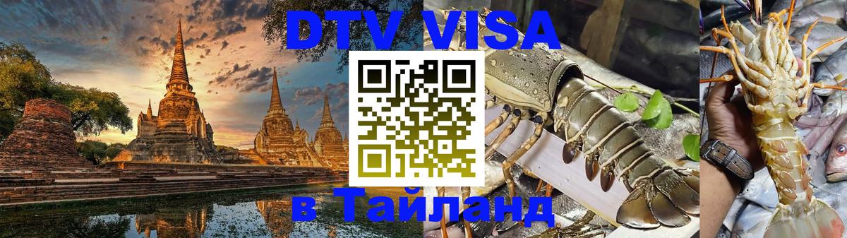 Сколько стоит DTV виза — актуальные цены, оформление даже без документов - Люберцы  20.11.2025 